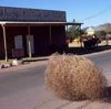 Tumbleweeds Outnumber Voters in Today's Primary Runoff
